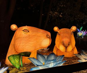 Garden of Lights we Wrocławiu