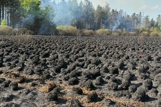 Duży pożar na pograniczu polsko-słowackim. Na miejscu pracuje wiele zastępów straży pożarnej