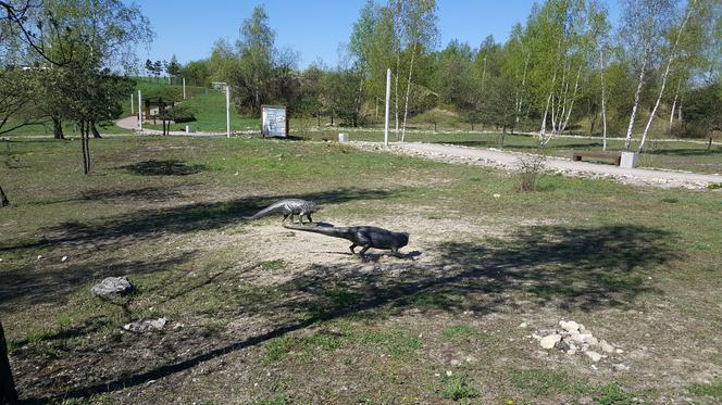 W Jaworznie powstanie tężnia solankowa