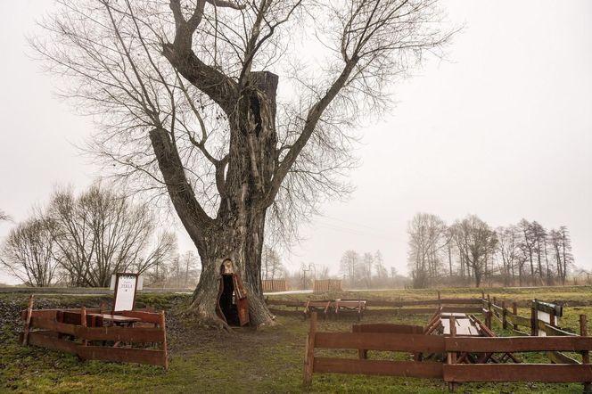 Odwiedziłam słynną Chatkę Puchatka na Śląsku 