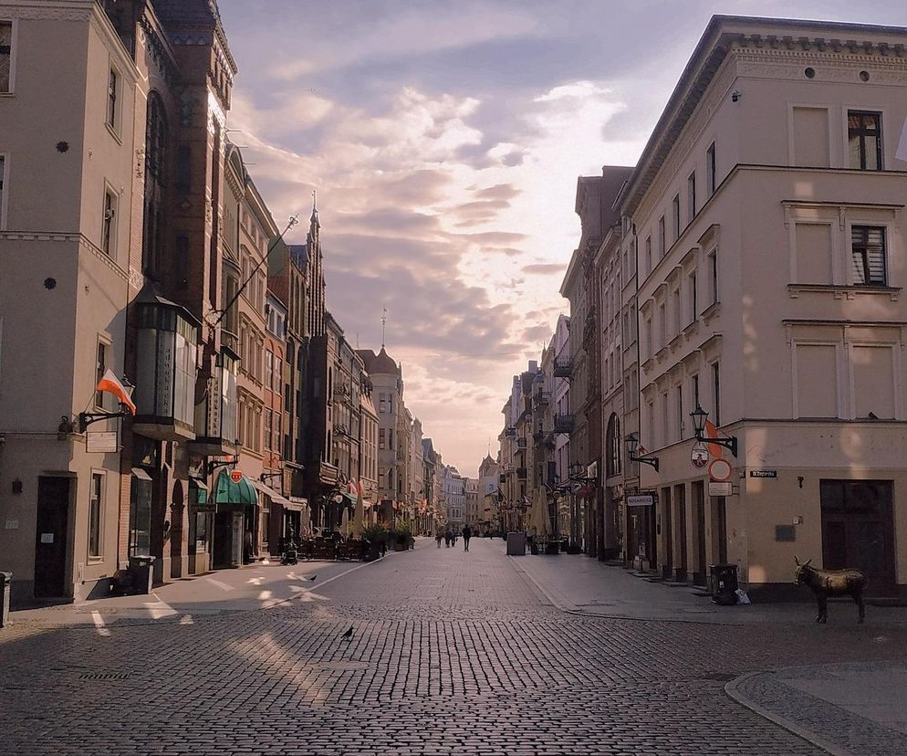 W tych miastach kujawsko-pomorskiego są krzyżackie zabytki. Cała Polska ich zazdrości [GALERIA]