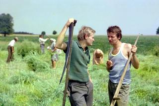 Między prawdą, a fikcją. Daleko od szosy