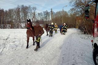 Dramatyczna akcja strażaków na jeziorze, konie wpadły pod lód. Ludzie mówią, że spłoszyły je wilki