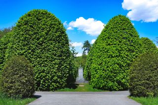 Park im. Henryka Jordana w Krakowie