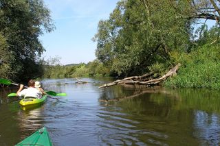 Spływy kajakowe w kujawsko-pomorskim. Ta rzeka nadaje się idealnie, zobaczycie piękne krajobrazy [GALERIA]