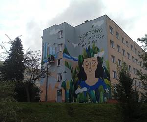 Nowy mural ozdobi Olsztyn. Zobaczcie pierwsze efekty prac!