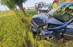 Wypadek niedaleko Gostynia. Kobieta zasnęła za kółkiem