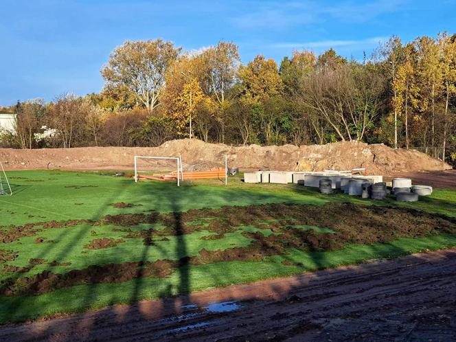 Dziki zryły murawę remontowanego stadionu! Kto zapłaci za naprawę?