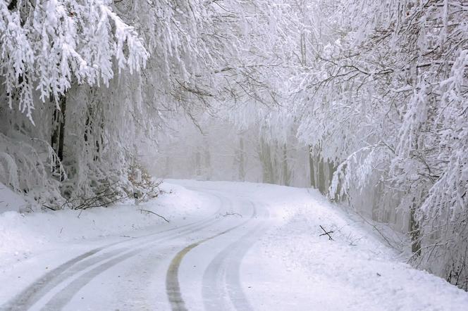 Pogoda Na Dzis 14 Kwietnia 2021 Brutalny Kontratak Zimy Spadnie Mnostwo Sniegu Alerty Drugiego Stopnia Imgw Torun Super Express
