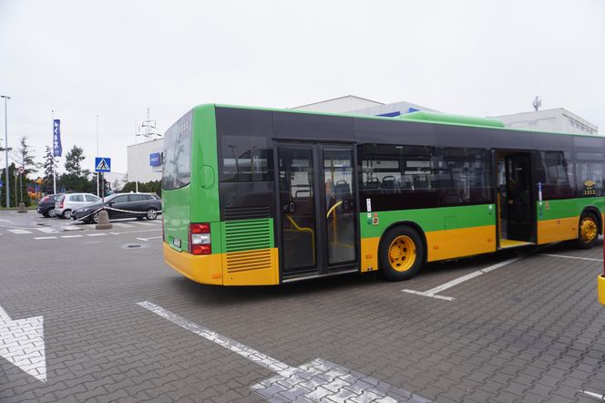 Katarzynki 2024 - wystawa autobusów przy Galerii Panorama