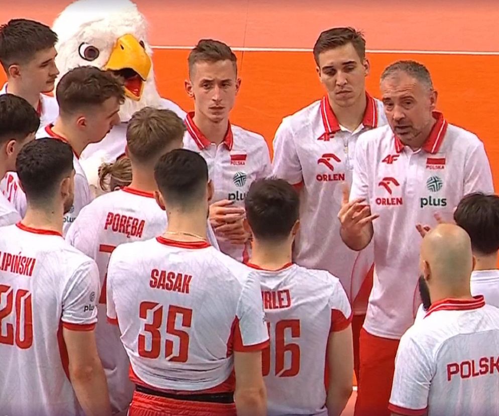Siatkówka, Nikola Grbić, kadra, Katowice, Silesia Cup