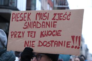 Oni mówią głosem zwierząt! Tak wygladał marsz w obronie zwierząt z Toruńskiego Schroniska [GALERIA, AUDIO]