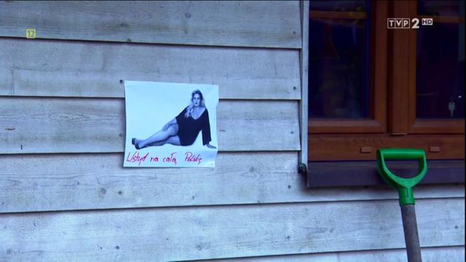 Barwy szczęścia, odc. 2043. Aldona (Elżbieta Romanowska)