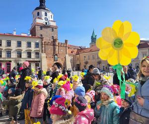 Plac przed ratuszem zakwitł. Przedszkolaki witały wiosnę [GALERIA]