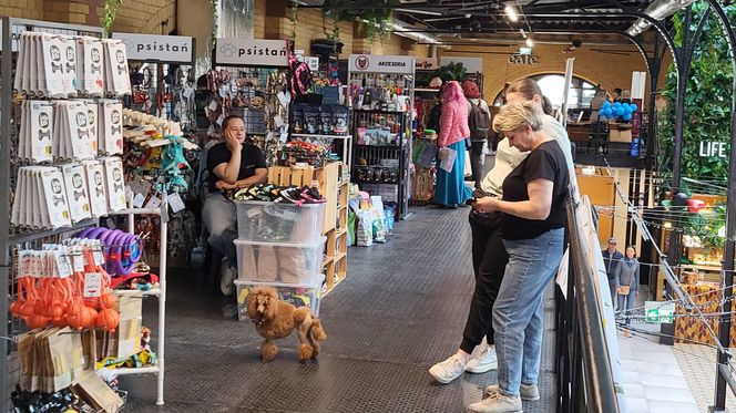 Futrzasty zawrót głowy w Bydgoszczy! Za nami Targi dla Zwierzaków w Gwar Foodhall
