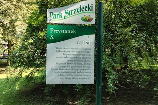 Pomniki przyrody w Parku Strzeleckim w Tarnowie