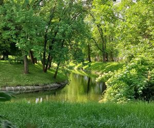 Park Miejski w Zamościu