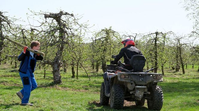 M jak miłość odc. 1873. Dominik Walat (Bartosz Surówka), Kacper (Bartosz Ziewiec)