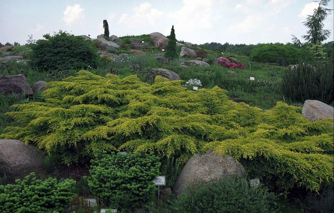 Ogród Botaniczny w Powsinie