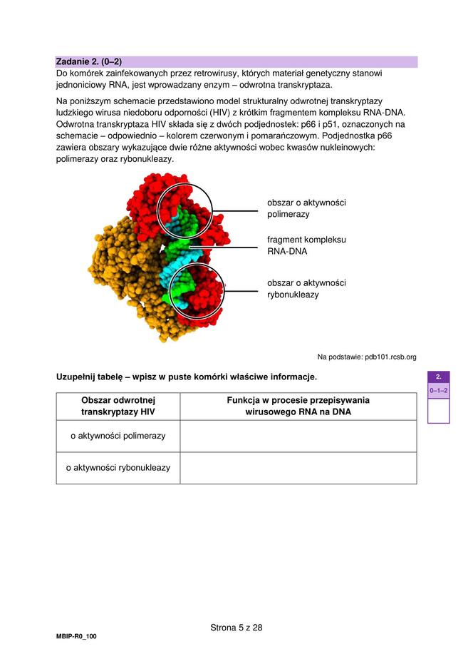 MATURA BIOLOGIA ROZSZERZONA FORMUŁA 2024