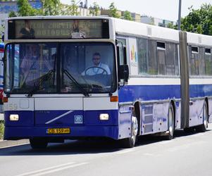 Zlot zabytkowych autobusów 2022 w Bydgoszczy [ZDJĘCIA] 