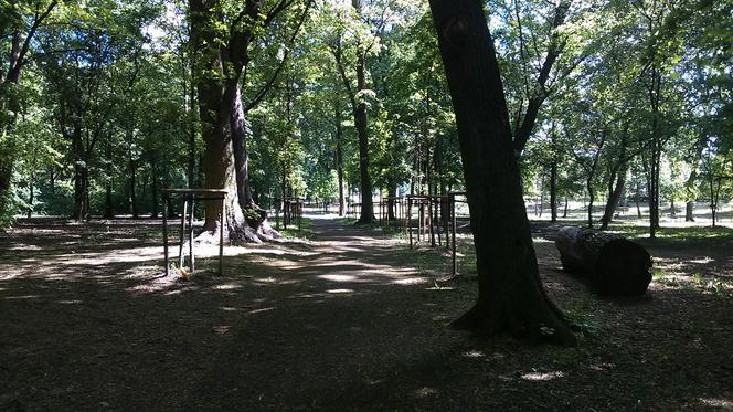 Park Tysiąclecia w Toruniu czekają spore zmiany