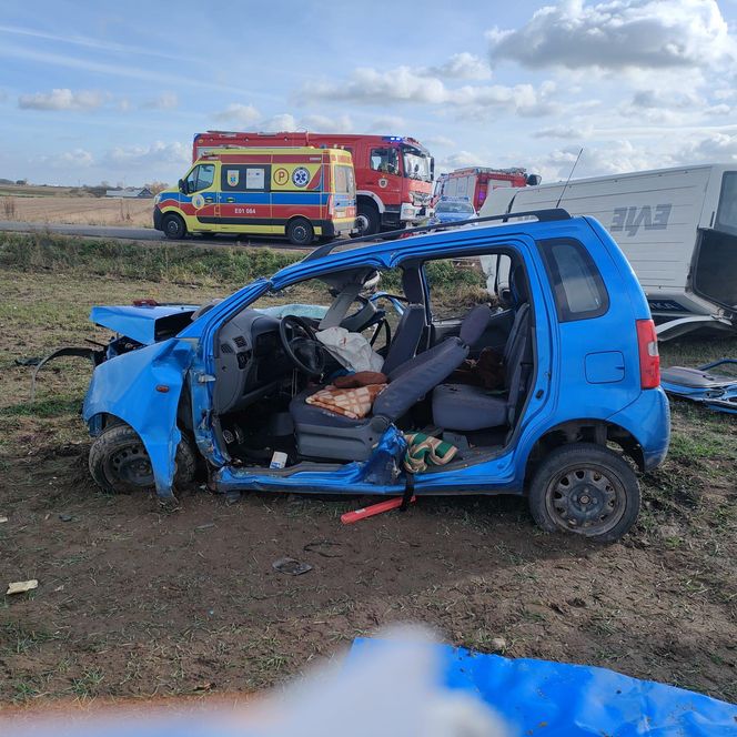 Śmiertelny wypadek pod Brzezinami