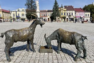 To małopolskie miasto jest nazywane Monachium Południa. Mało kto wie, że jest sławne na całą Europę 