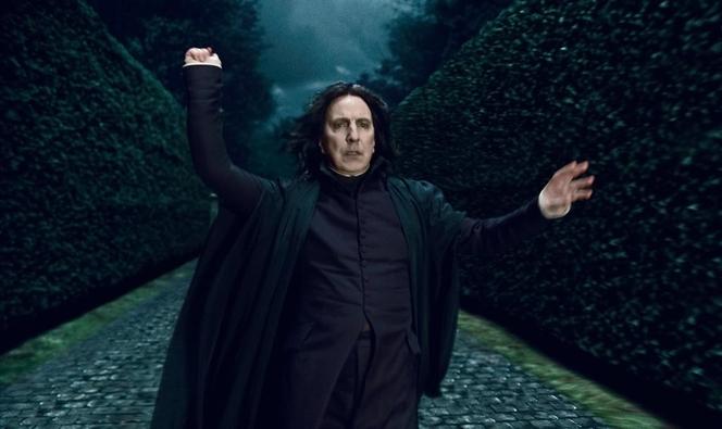Alan Rickman (21 lutego 1946 – 14 stycznia 2016) 