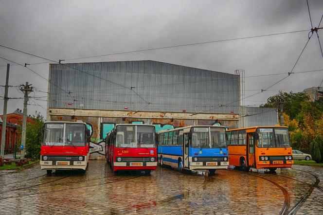 Naprawdę specjalna komunikacja na Noc Muzeów we Wrocławiu. Przejedź się zabytkowym tramwajem lub autobusem