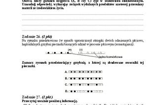 Matura 2013 biologia p. rozszerzony