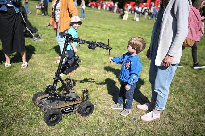 Piknik Europejski w Warszawie - 1 maja 2025