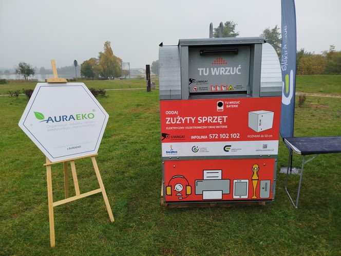 Dębowy Elektryczny Las został zasadzony nad Siedleckim zalewem w ramach programu Polska Stolica Recyklingu