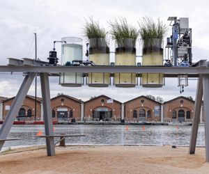 Canal Cafe ze Złotym Lwem - Biennale Wenecja 2025