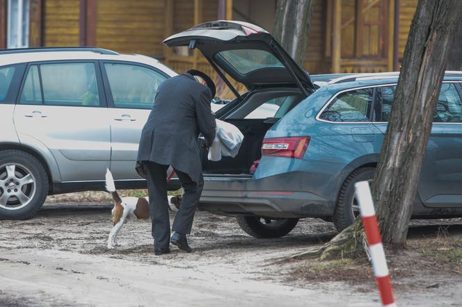 Janusz kupił psu petardy