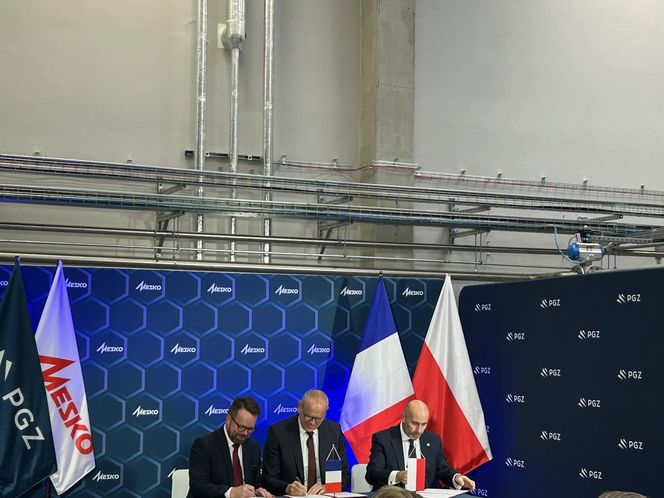 PGZ, MESKO i EURENCO