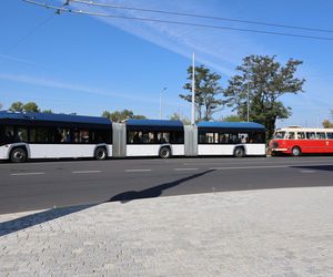 Animacje, najdłuższy autobus w kraju i inne atrakcje. Tak wyglądał Dzień bez Samochodu w Lublinie