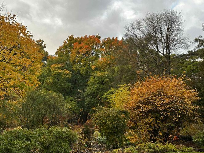 Ogród Botaniczny we Wrocławiu