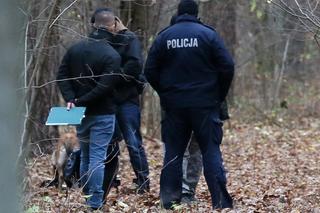 Pracownik Białowieskiego Parku Narodowego znalazł ciało mężczyzny. Czy to ciało poszukiwanego Syryjczyka? 