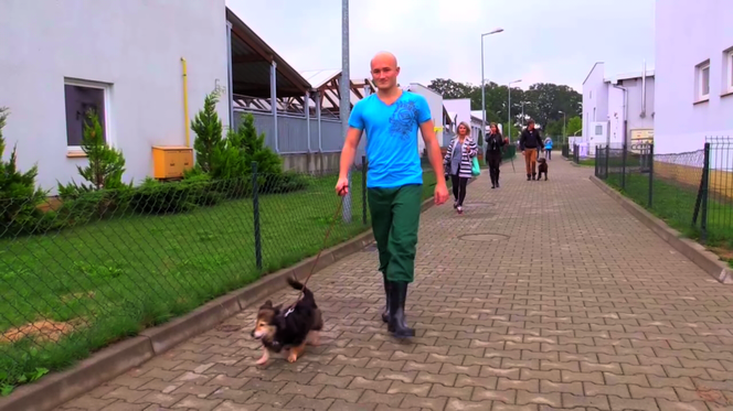 Więźniowie zajmują się zwierzętami w schronisku