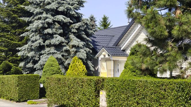Amerykańska ulica we Wrocławiu istnieje naprawdę. Tak wygląda Tunelowa