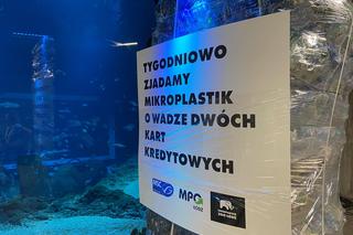 Nietypowa instalacja w łódzkim zoo. Chodzi o zwrócenie uwagi na problem