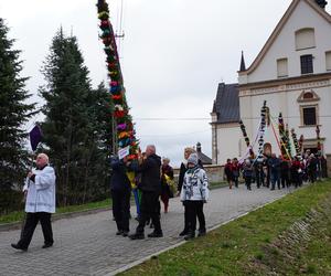 Rekordowe palmy i kiermasz świąteczny w Krynkach