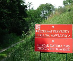 Kałdus