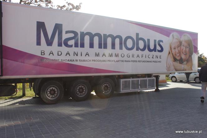 Przed Urzędem Marszałkowskim w Zielonej Górze stanie nowoczesny mammobus