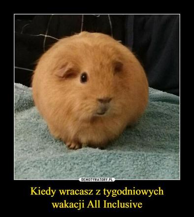 Wakacje all inclusive. Oto najlepsze memy tego lata!