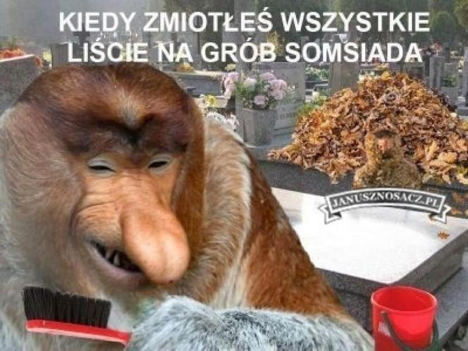 Najlepsze memy na Wszystkich Świętych. Uśmiejesz się do łez 