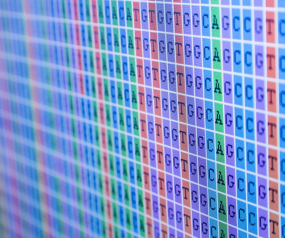 Zespół Kostmanna to wrodzony brak odporności, u podstaw którego leży bardzo niski poziom neutrofili.