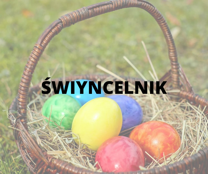 Tradycyjne śląskie ciasto chlebowe, wypełnione kiełbasą lub wędzonką