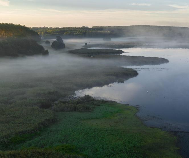 Nowy rezerwat przyrody w warmińsko-mazurskim. "Jezioro Mścin" zapiera dech w piersiach! [ZDJĘCIA]